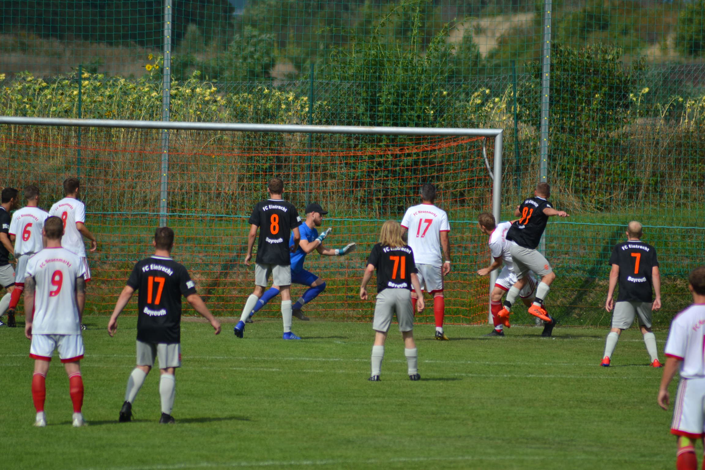 Michis Kopfball kratzt der Hüter von der Linie